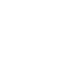 Image module