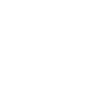 Image module