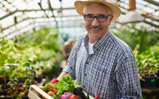 Terra Brasil – Programa Nacional do Crédito Fundiário