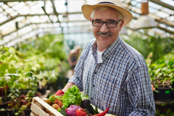 Terra Brasil – Programa Nacional do Crédito Fundiário