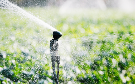 Pronampe Agro SC – Emergencial