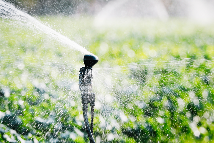 Pronampe Agro SC – Emergencial