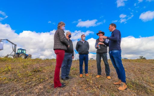 Plantio de cereais de inverno avança na Serra catarinense