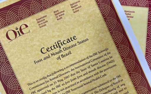 Santa Catarina parabeniza as novas áreas livres de febre aftosa sem vacinação no Brasil