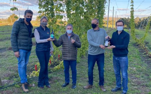 Governo do Estado apoia o plantio de lúpulo e cevada em Santa Catarina