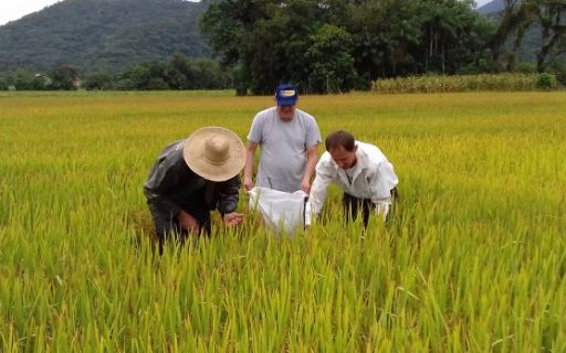 Epagri e CIASC fecham parceria de pesquisa e inovação para agricultura