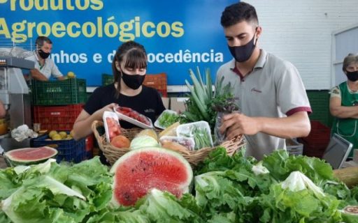 Agricultores catarinenses inovam e ganham mercado na pandemia da Covid-19