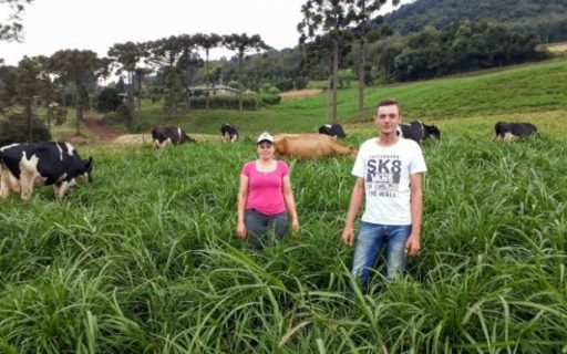 Cada real investido na Epagri gera R$ 6,92 em retorno para a sociedade