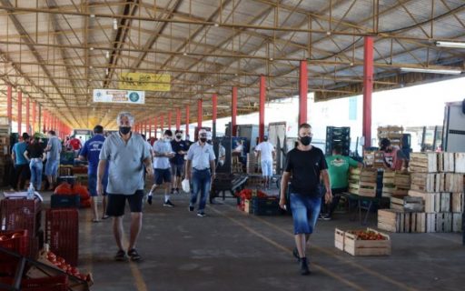 Ceasa/SC é pioneira na busca de soluções inovadoras para resíduos orgânicos
