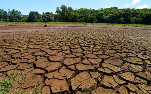 Governo do Estado dá início a repasses de R$ 300 milhões para minimizar os impactos da estiagem no estado