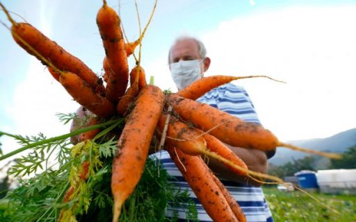 Santa Catarina terá Política Estadual de Agroecologia e Produção Orgânica