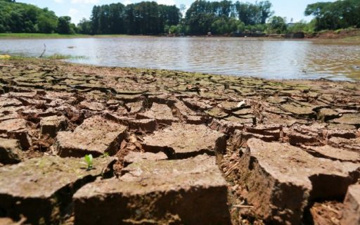 Estiagem em SC: Epagri divulga manejos recomendados para diminuir prejuízos nos cultivos