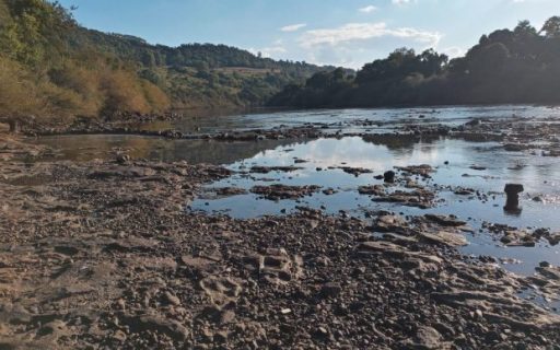 Governo do Estado oferece linhas de crédito especiais para minimizar os efeitos da estiagem no meio rural