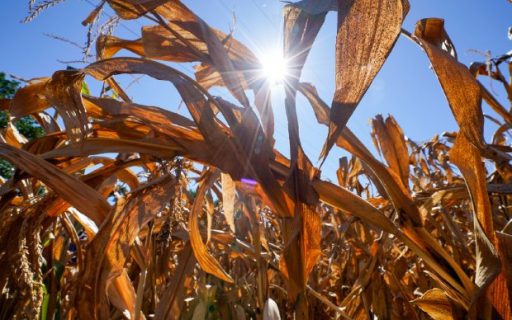 Em Chapecó, governador apresenta ações do Estado no combate aos efeitos da estiagem