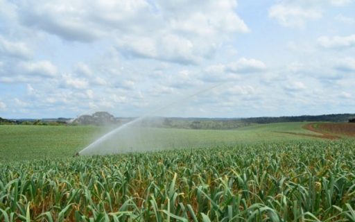 Governo catarinense planeja investimento de R$ 150 milhões para minimizar os impactos da estiagem no meio rural