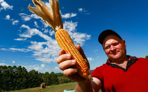 Em Concórdia, governador lança programas para aumentar a produtividade no campo
