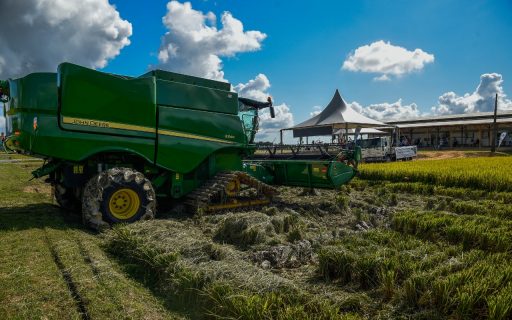 Com expectativa de boa safra, começa colheita de arroz em Santa Catarina