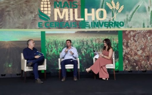 Santa Catarina aposta na produção de cereais de inverno para minimizar o déficit de milho