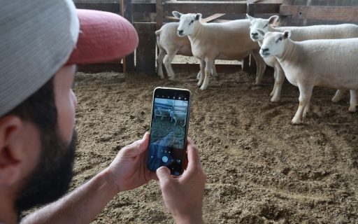 Em Vargeão, governador lança o Programa Conecta Agro SC para levar internet de qualidade ao campo