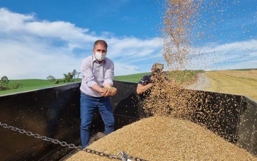 Governo do Estado investirá R$ 10 milhões para incentivar o cultivo de cereais de inverno em Santa Catarina