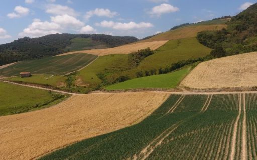 Observatório Agro Catarinense será lançado na próxima sexta-feira, 9