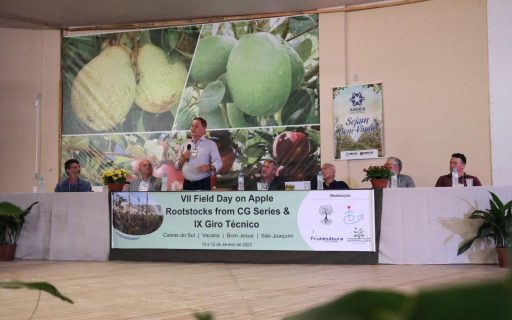 Santa Catarina sedia evento internacional de fruticultura