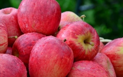 Santa Catarina solicita a retirada da maçã da pauta de negociações com a China