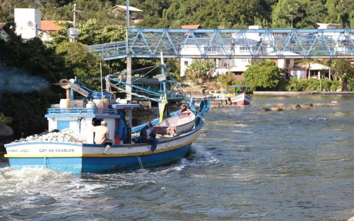 Santa Catarina pede revisão de cota de pesca da tainha para 2023