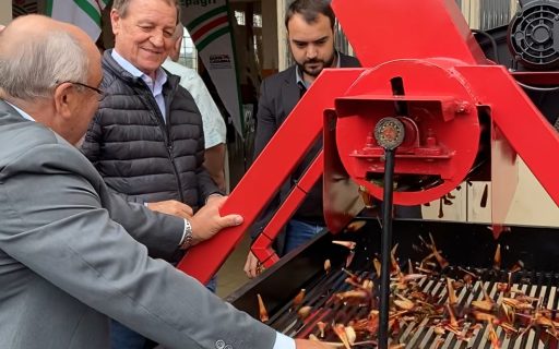 Secretaria da Agricultura destina R$ 150 mil para incentivar a colheita de pinhão em Painel