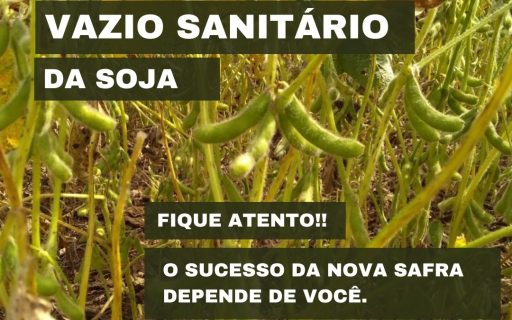 Vazio Sanitário da Soja começa no dia 22 de junho em Santa Catarina