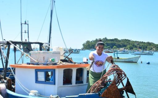Dia do pescador: mulheres do mar no protagonismo da pesca em Santa Catarina