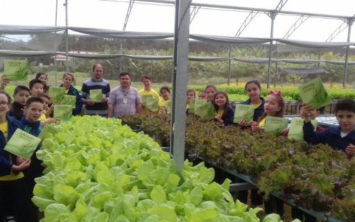 Educação sanitária, um legado que fez história e transformou o agronegócio de Santa Catarina