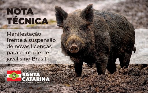 Manifestação frente à suspensão de novas licenças para controle de javalis no Brasil
