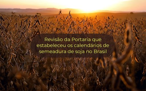 Soja: Santa Catarina solicita a revisão do calendário de semeadura