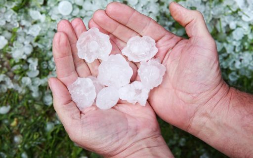 GRANIZO: AGRICULTURA REPASSA RECURSOS PARA PROTEGER A FRUTICULTURA