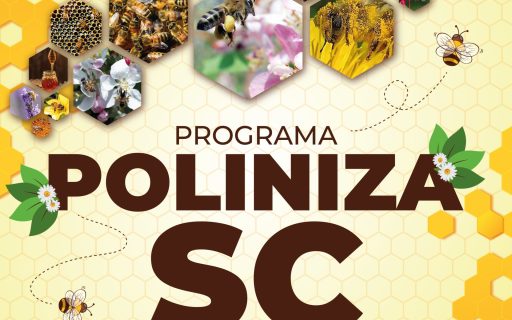 PROGRAMA POLINIZA SC SERÁ LANÇADO NA FESTA DA MAÇÃ