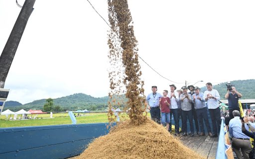 Governador participa da abertura oficial da colheita do arroz em Massaranduba