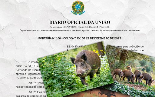Exército regulamenta normas para controle de javalis