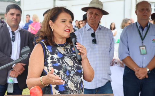 Governadora em exercício participa da abertura da safra nacional da maçã em São Joaquim