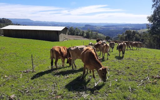 PNCF amplia possibilidades de financiamento e aquisição de imóveis rurais