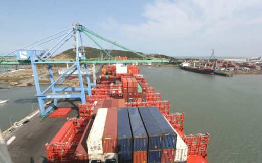 Exportações catarinenses de carne crescem no primeiro bimestre de 2024