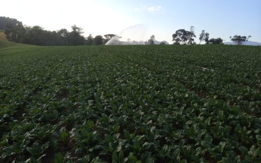 Aviso de Pauta: Secretaria de Estado da Agricultura e Pecuária e Secretaria de Governança Fundiária promovem Oficina Nacional de Crédito Fundiário