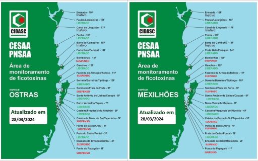 Novas interdições temporárias em áreas de cultivos de moluscos na Grande Florianópolis