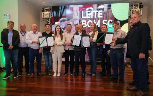 Governo do Estado lança o Programa Leite Bom SC para apoiar cadeia produtiva catarinense