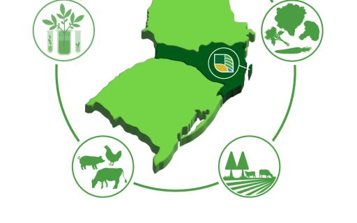 AVISO DE PAUTA                                                                Simpósio Sul-Brasileiro ABC+ Agricultura de Baixa Emissão de Carbono contará com a participação dos três secretários de Estado da Agricultura da região Sul