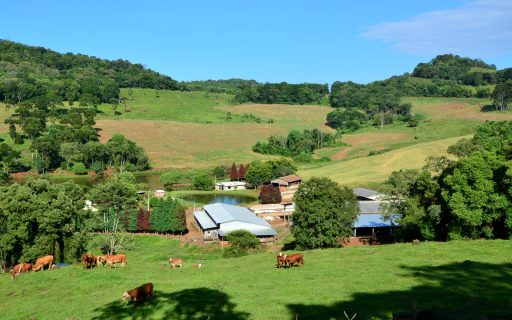 SAR libera R$ 15,8 milhões em abril em programas de apoio direto aos agricultores