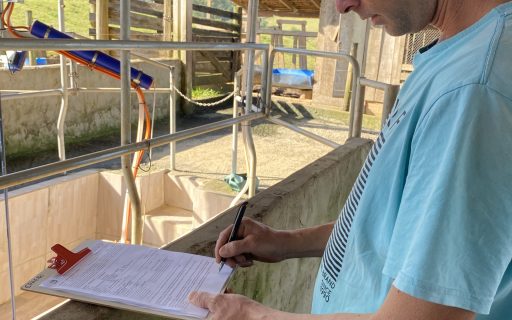 Programa Leite Bom SC: Governo do Estado inicia pagamento dos projetos do Financia Leite SC, decreto que dificulta importação está em vigor