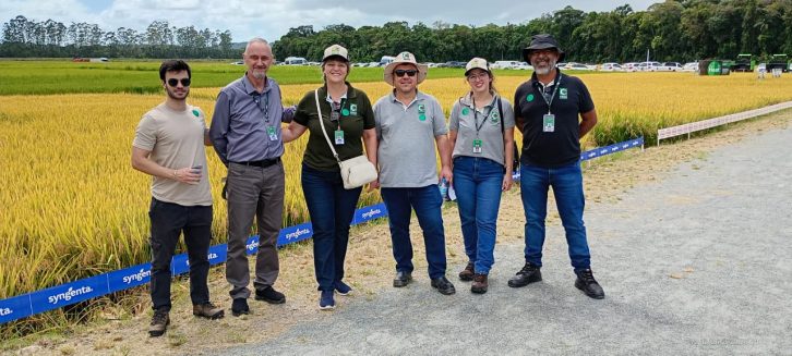 Produção de arroz em Santa Catarina alia tecnologia, qualidade e segurança alimentar