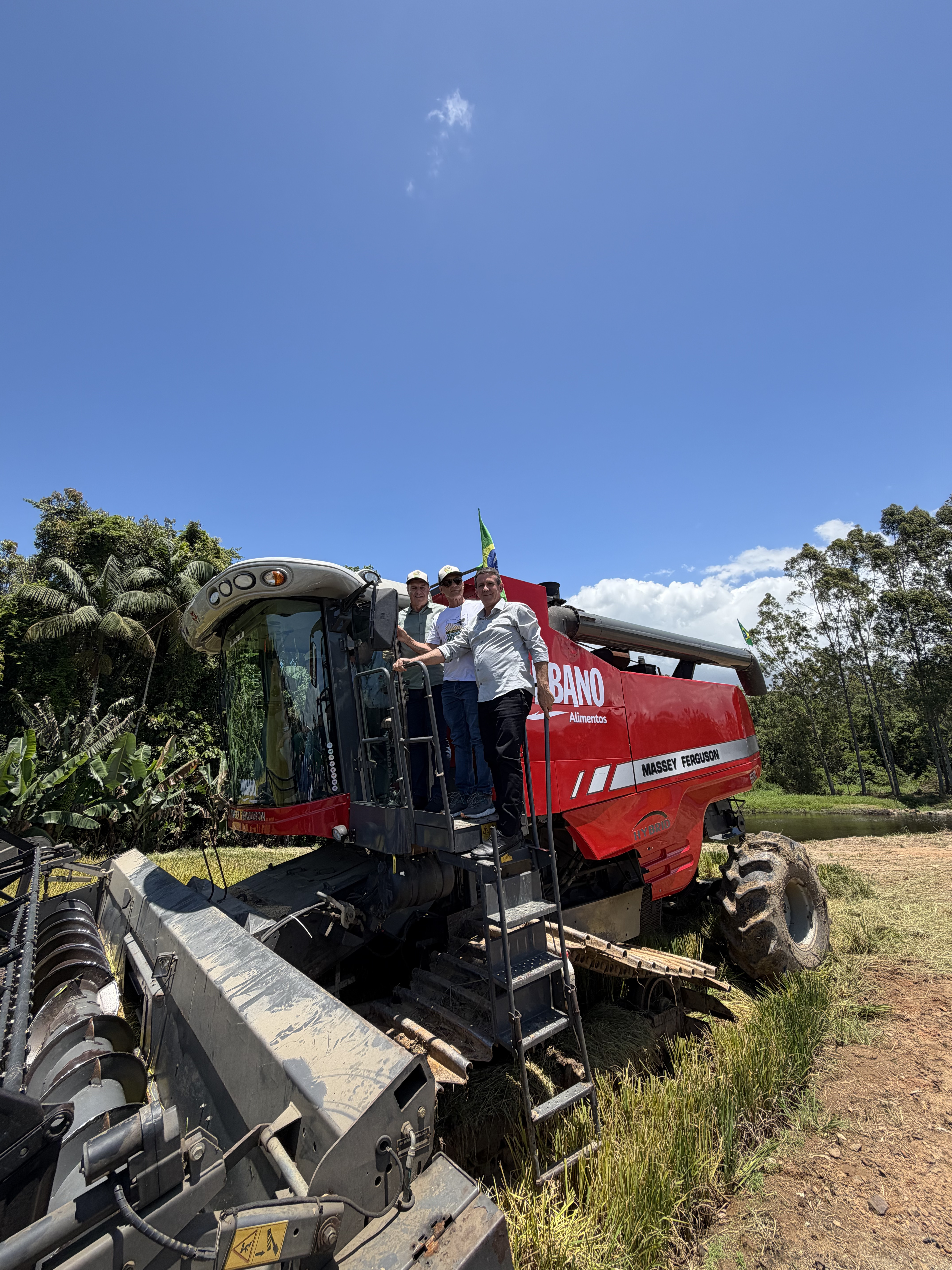 Safra 2025/2026: Estimativa é colher 1,2 milhão de tonelada de arroz
