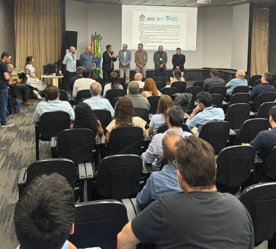 Câmara Setorial debate arroz sustentável e oportunidades no mercado de créditos de carbono em SC